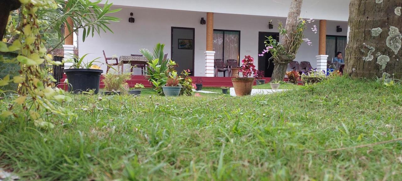 מאראריקולם Marari Phoenix Beach Homestay מראה חיצוני תמונה