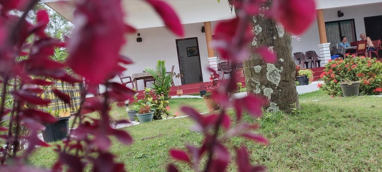 מאראריקולם Marari Phoenix Beach Homestay מראה חיצוני תמונה